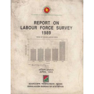 Report on Labour Force Survey 1989