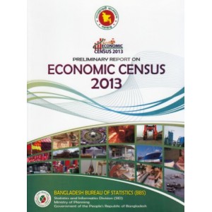 Preliminary Report on Economic Census 2013
