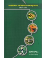 Amphibians and Reptiles of Bangladesh: A Field Guide
